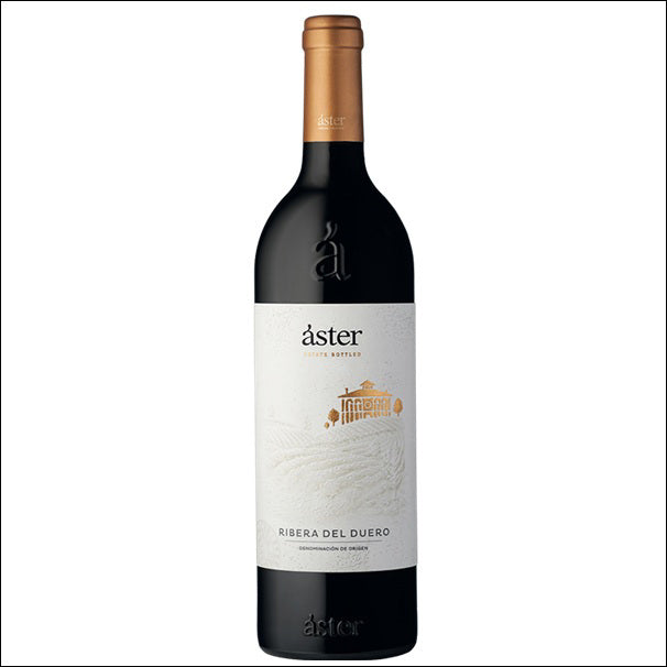 Bodegas Aster 'El Espino' Single Vineyard 2020 - El Carajo Wine Store