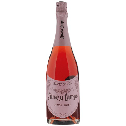 Juve y Camps Brut Rose NV - El Carajo Wine Store