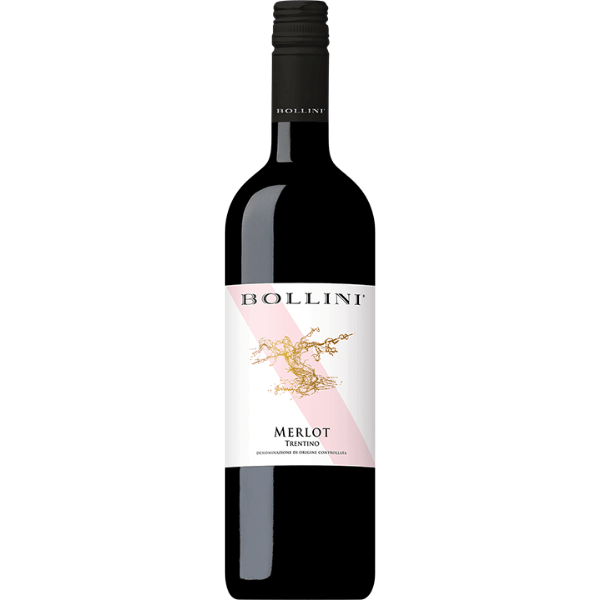 Bollini Merlot 2024 - El Carajo Wine Store