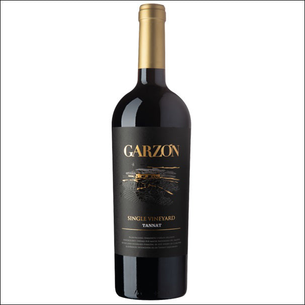 Garzon Single Vineyard Tannat 2020