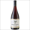 Montes Alpha Pinot Noir 2022 - El Carajo Wine Store