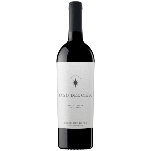 Torres Pago del Cielo Vinas Viejas 2019 - El Carajo Wine Store