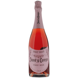 Juve y Camps Brut Rose NV